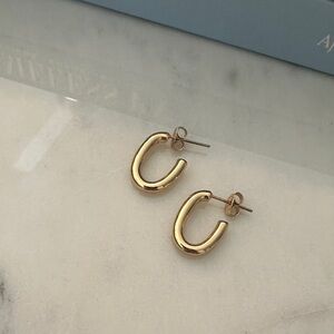 NWOT Nordstrom earrings